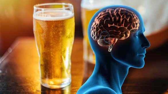 birra e cervello