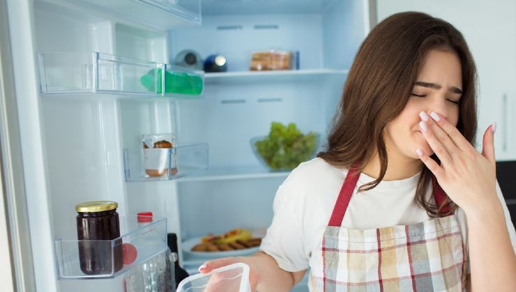 cattivi odori del frigo