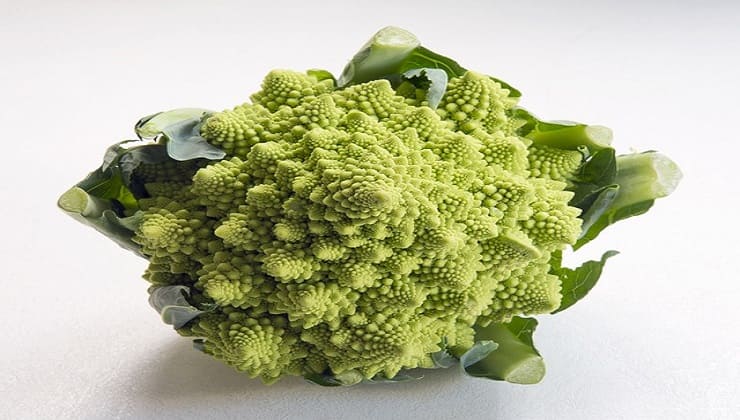 Cavolfiore romanesco