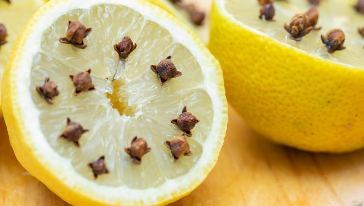 Chiodi di garofano nel limone 