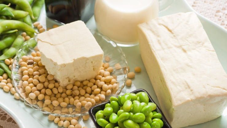 Tofu, perché non deve mai mancare