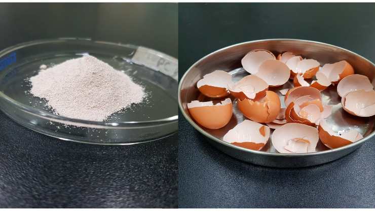Gusci delle uova: come usarli