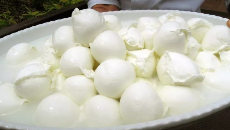 Mozzarella come conservarla correttamente