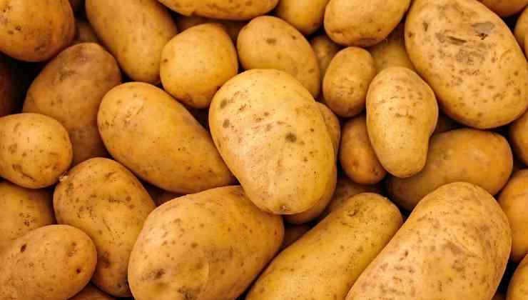 patate in balcone 