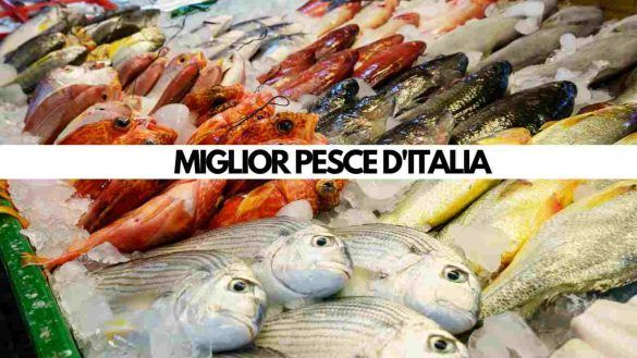 pesce fresco