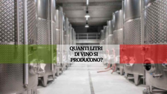 produzione vino