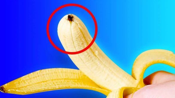 punta banana nera