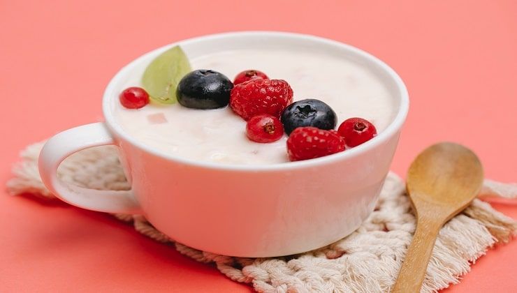 Ribes e yogurt fatto in casa 