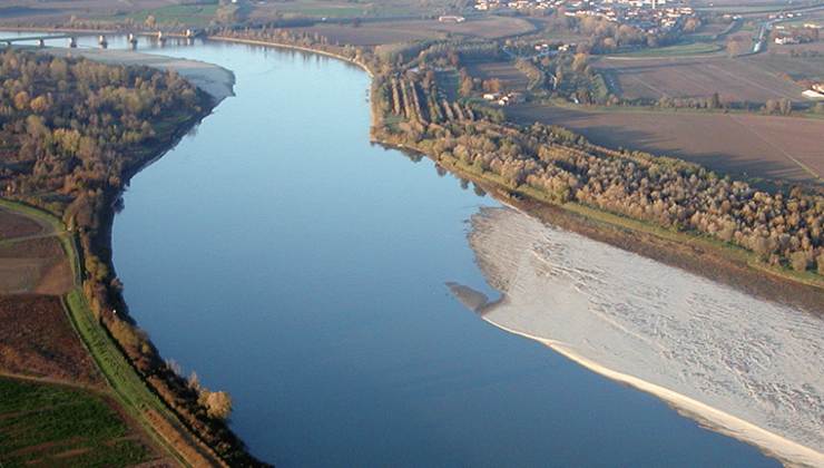 Uno strano predatore nel fiume