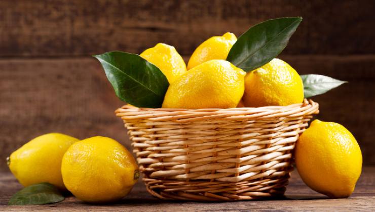 Limoni, come conservarli al meglio
