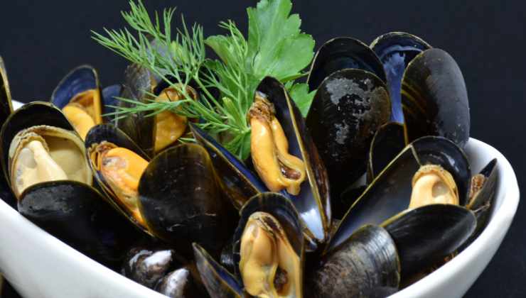 Cozze inquinamento