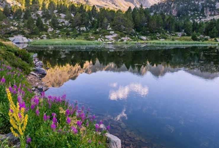 laghi di tristaina verde