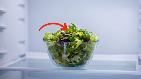 Insalata nel frigo