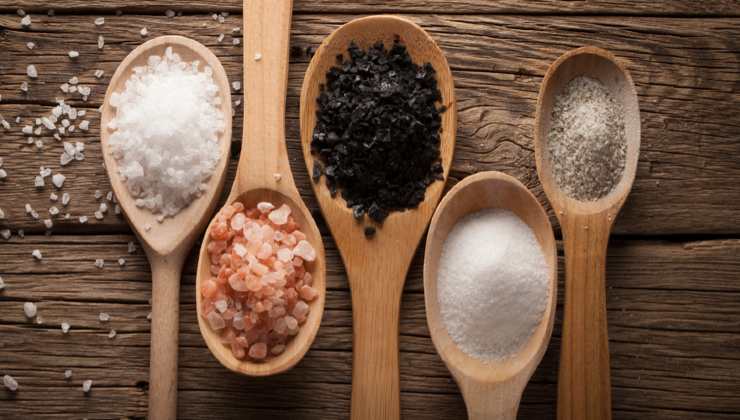 Le diverse tipologie di sale