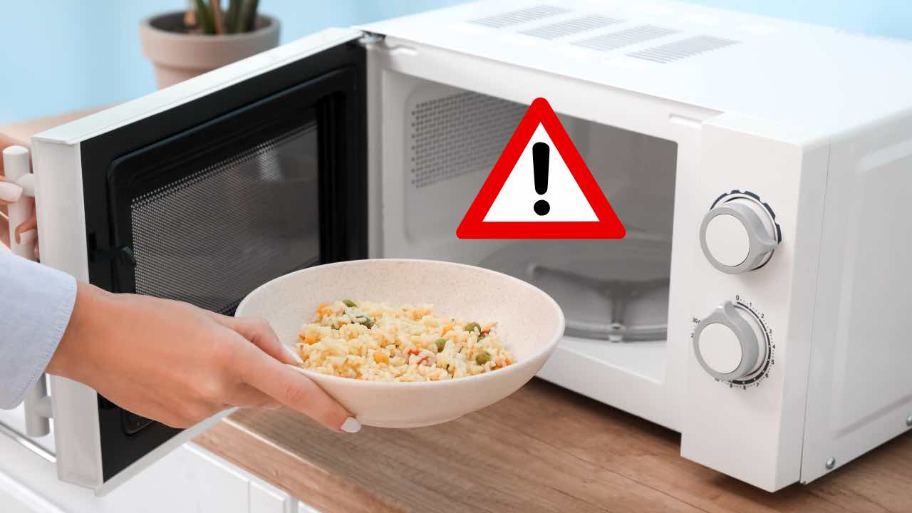 Forno a microonde, non usare questi materiali per riscaldare cibo: è  pericoloso