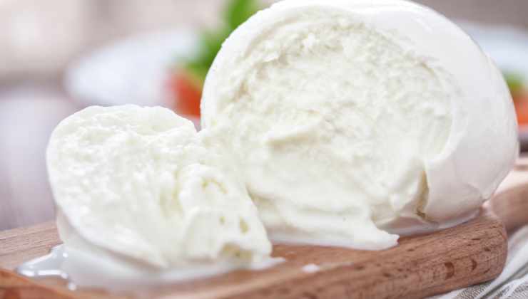 Mozzarella bufala campana