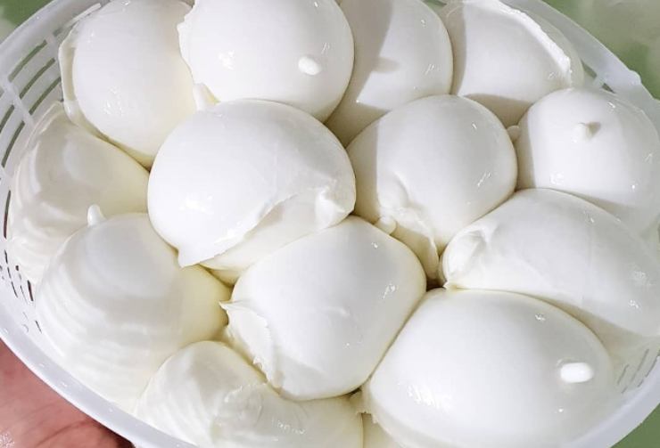 Mozzarella di Bufala