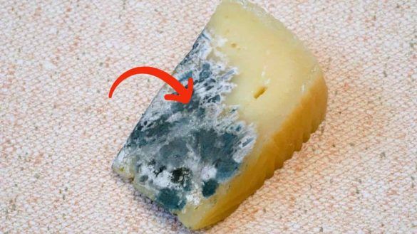 Muffa parmigiano