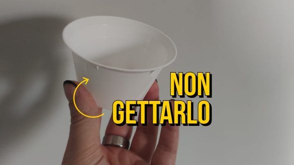 Porta uovo riutilizzo