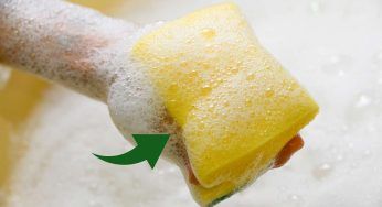 Spugne per i piatti piene di batteri: come lavarle e disinfettarle senza lavatrice