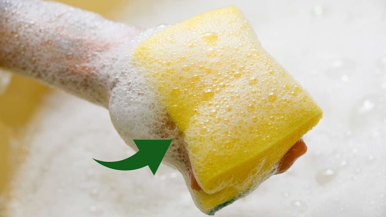 Spugne per i piatti piene di batteri: come lavarle e disinfettarle