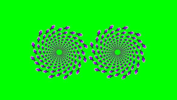 Test visivo