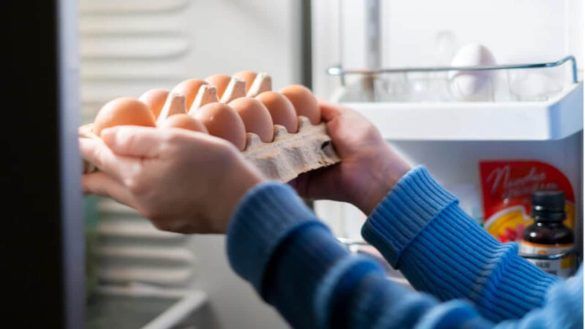 Uova sode in frigo