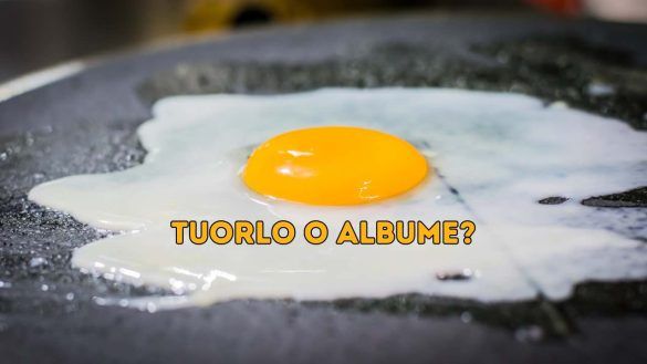 Uovo tuorlo o albume