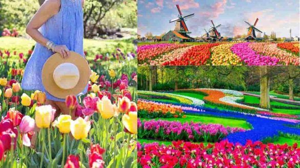 Viaggi in primavera