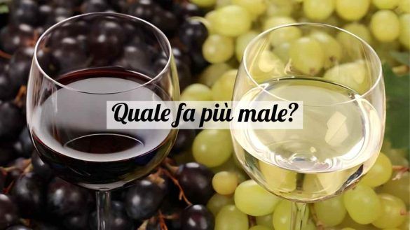Vino rosso o bianco