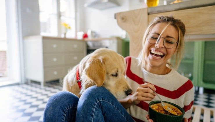 Animali in cucina, donna con cane