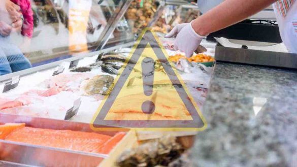 questo pesce è ricco di metalli nocivi