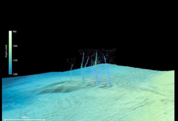 Ritrovamento sul fondo dell'oceano