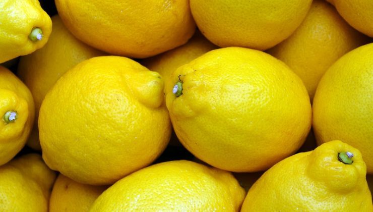 Limoni sempre freschi: il rimedio delle nonne per evitare la formazione di  muffa