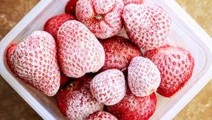 fragole congelate