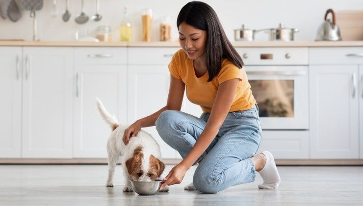 Giovane donna nutre cane in cucina