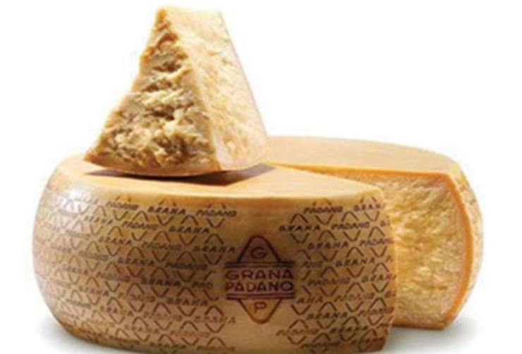 parmigiano muffa