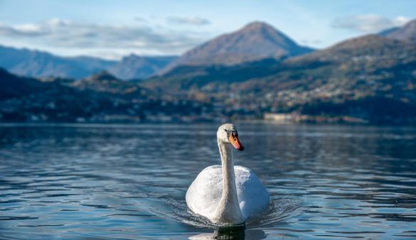 lago di como promessi sposi