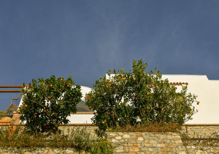 muretto città di alassio