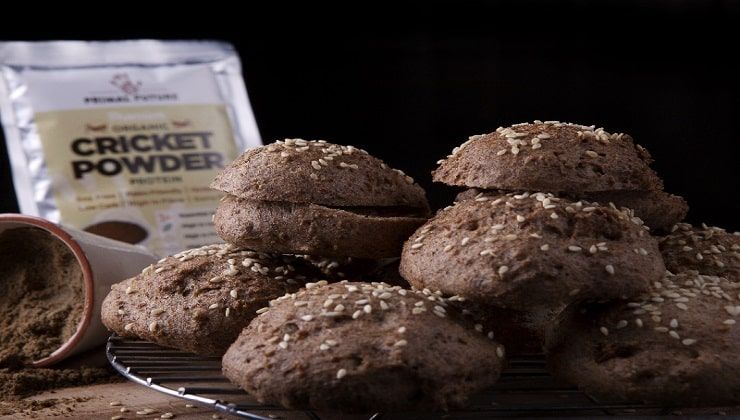 Pagnotte di pane con farina di grillo 