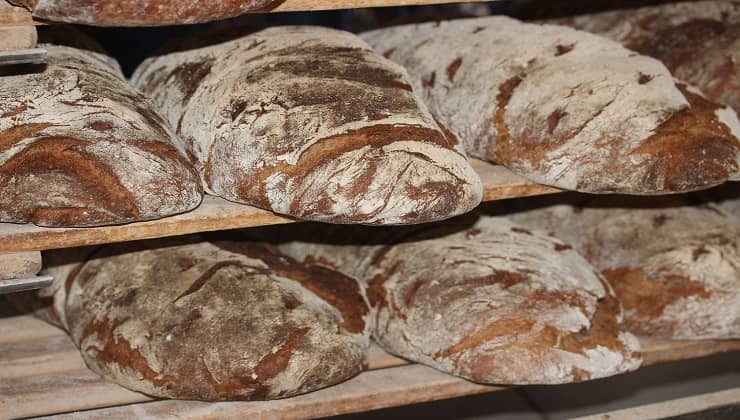 Pane con farina di grillo 