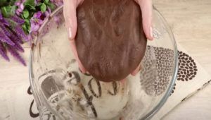 Panetto impasto biscotti al cioccolato