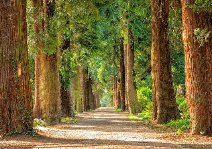 parco naturale Turchia