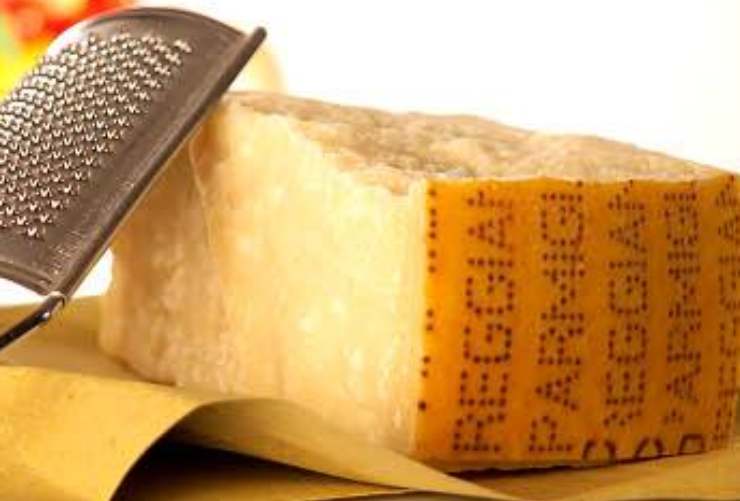 muffa parmigiano