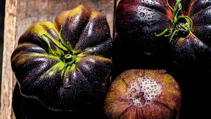 pomodoro nero