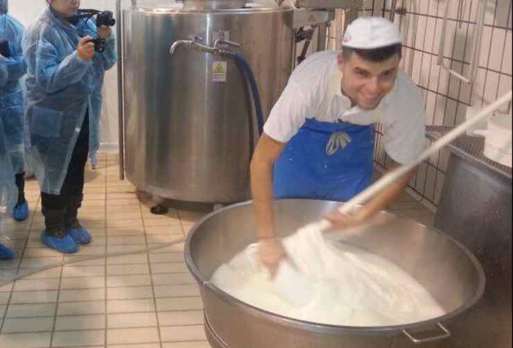 produzione della mozzarella