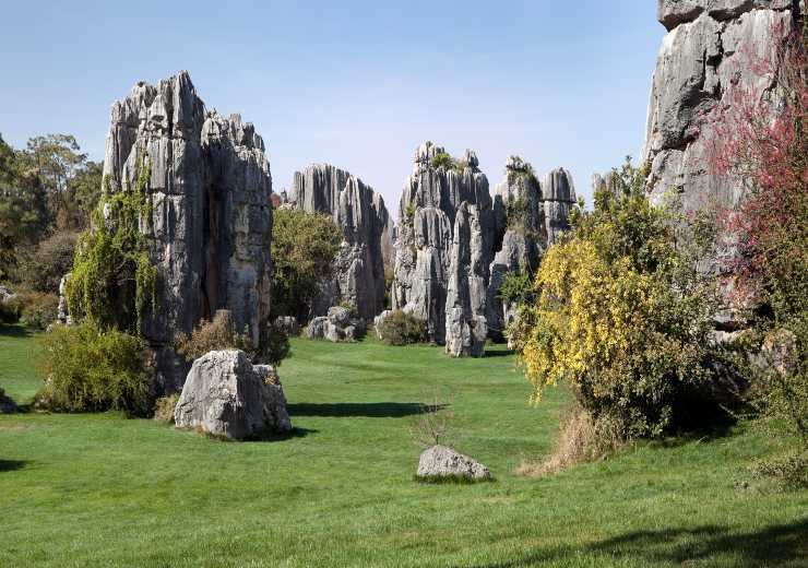 vedere foresta di pietra Lettonia