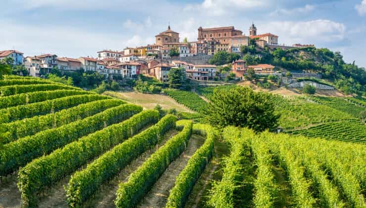  Vigneti nelle Langhe piemontesi 