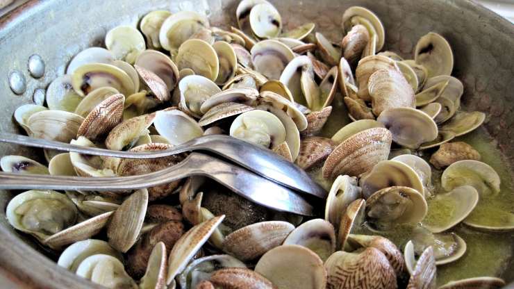 Vongole