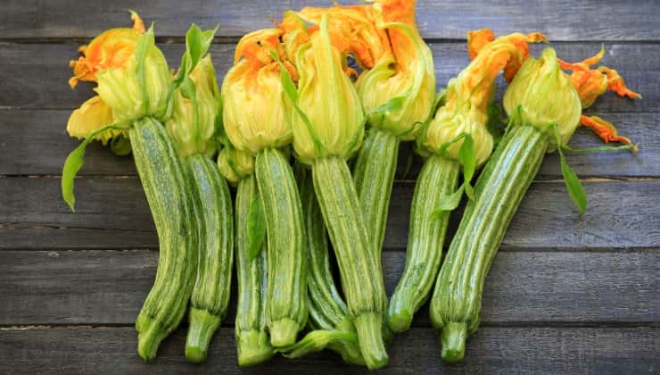 Zucchine romanesche con fiori